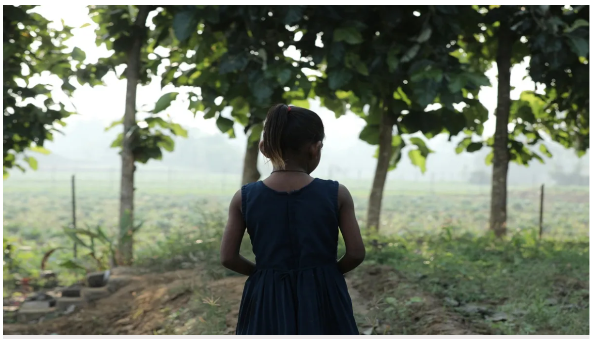 ⚠️ मध्य प्रदेश में शर्मनाक वारदात: नाबालिग के साथ सामूहिक दुष्कर्म, इलाके में गुस्सा और सख्त कार्रवाई की मांग